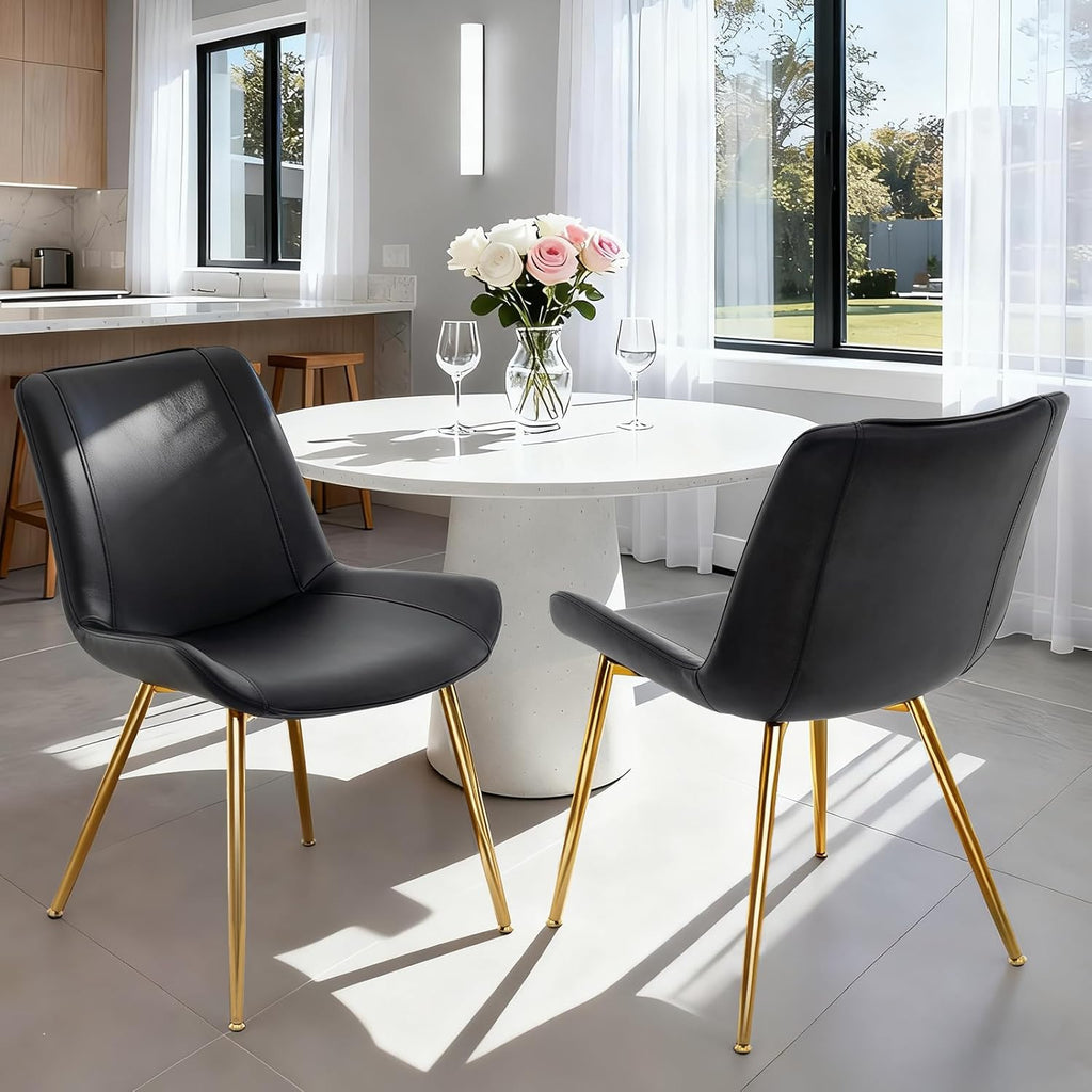 Modern Dining Room Chairs Set of 2 for Kitchen