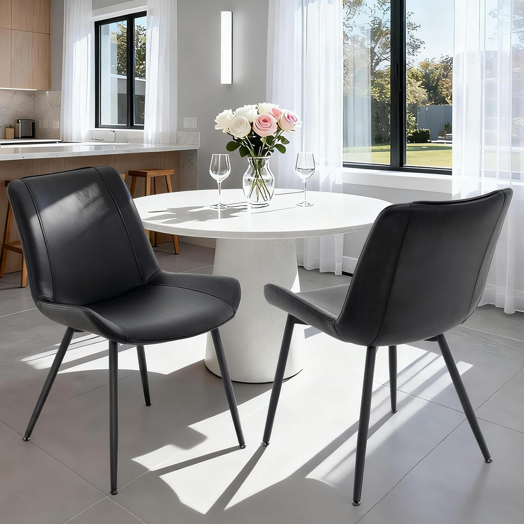 Modern Dining Room Chairs Set of 2 for Kitchen