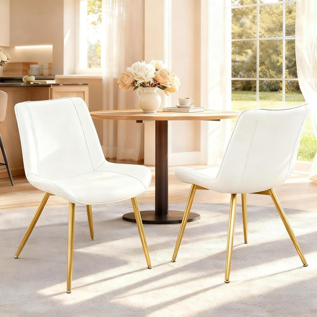 Modern Dining Room Chairs Set of 2 for Kitchen