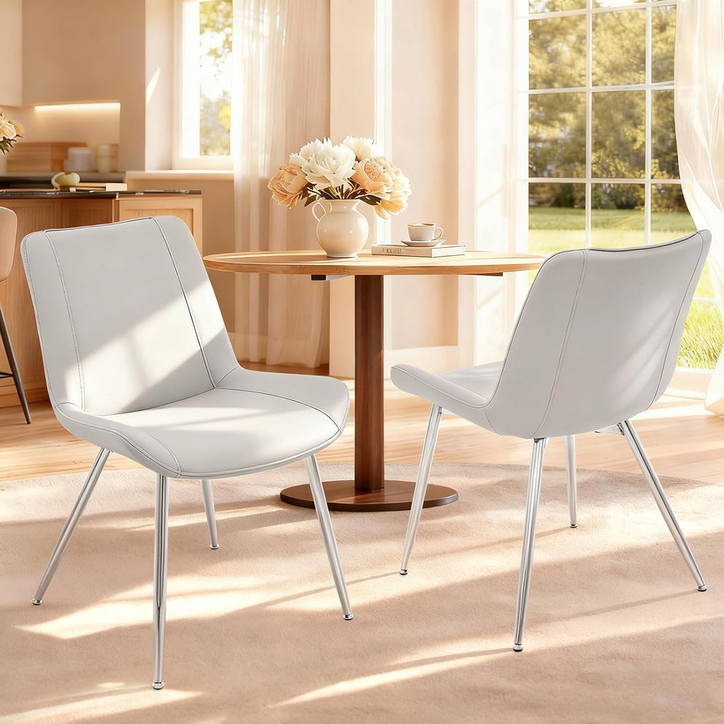 Modern Dining Room Chairs Set of 2 for Kitchen